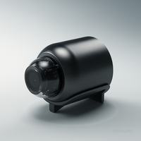 Hilyns™ Mini WiFi Cam